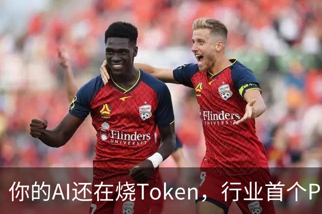 你的AI还在烧Token，行业首个Pro Agent已经开始赚钱了