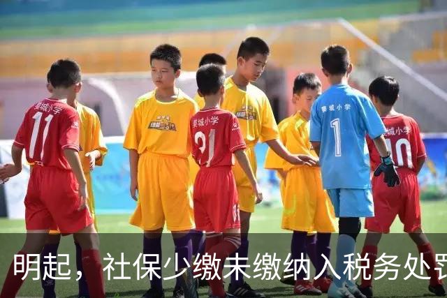 明起，社保少缴/未缴纳入税务处罚！