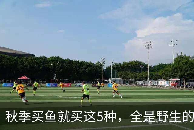 秋季买鱼就买这5种，全是野生的，人工养不了，比养殖鱼更香
