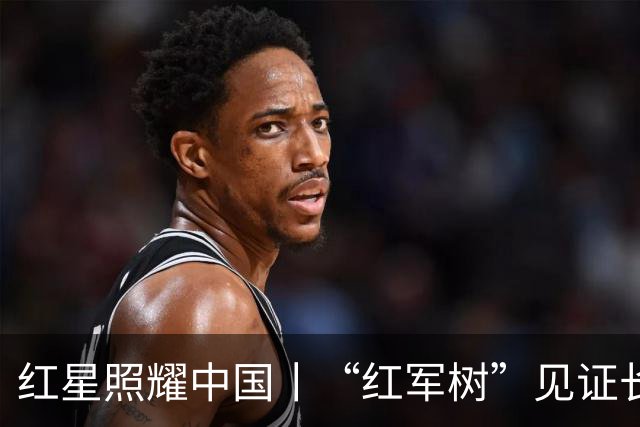 红星照耀中国丨“红军树”见证长征路